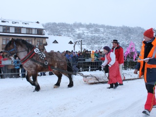 Preteky gazdovských koní 2013-80