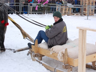 Preteky gazdovských koní 2013-28