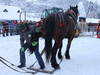 Preteky gazdovských koní 2013-81