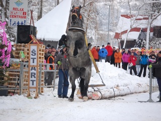 Preteky gazdovských koní 2013-63