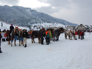 Preteky gazdovských koní 2013-55