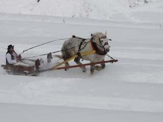 Preteky gazdovských koní 2013-73
