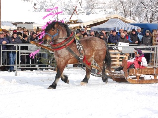 Preteky gazdovských koní 2013-23