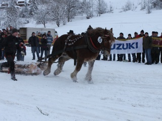 Preteky gazdovských koní 2013-78