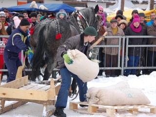 Preteky gazdovských koní 2013-29