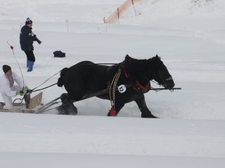 Preteky gazdovských koní 2013-72
