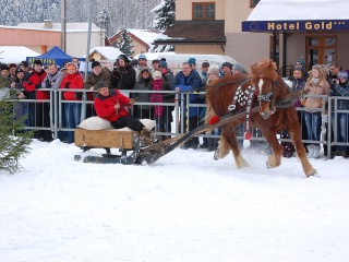Preteky gazdovských koní 2013-30