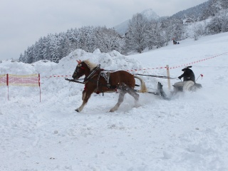 Preteky gazdovských koní 2013-69