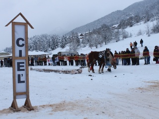 Preteky gazdovských koní 2013-79