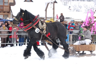 Preteky gazdovských koní 2013-32
