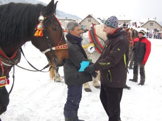Preteky gazdovských koní 2013-56