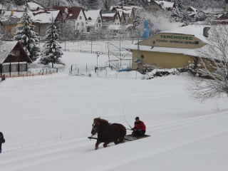 Preteky gazdovských koní 2013-70