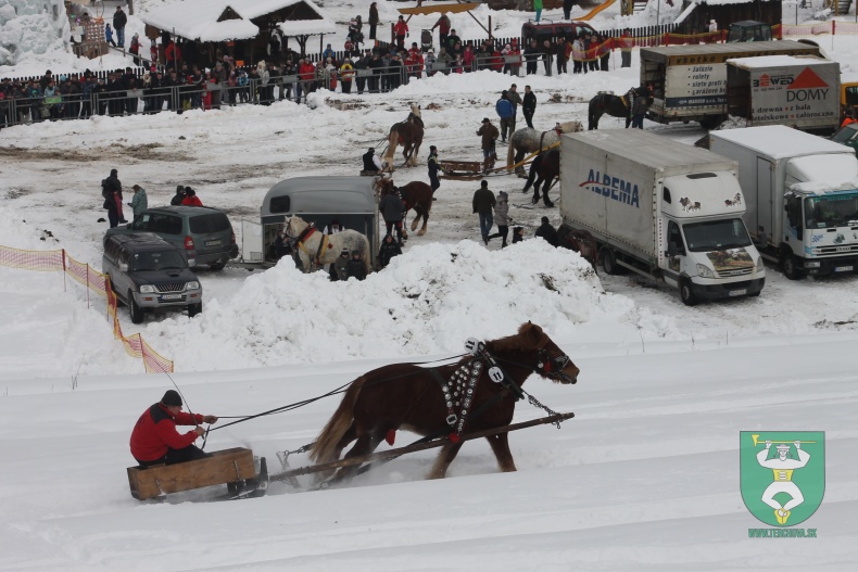 Preteky gazdovských koní 2013-71
