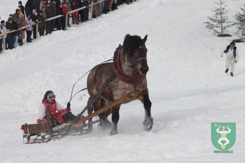 Preteky gazdovských koní 2013-74