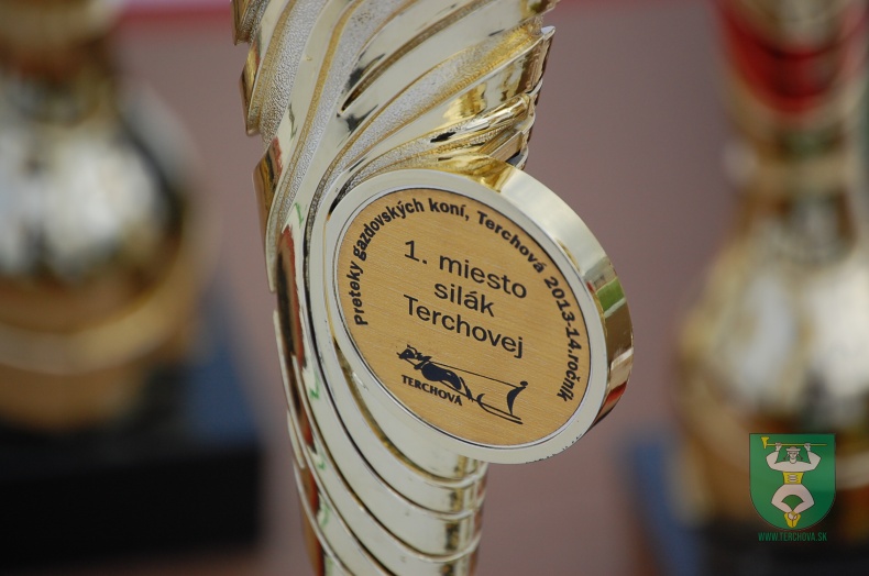 Preteky gazdovských koní 2013-25