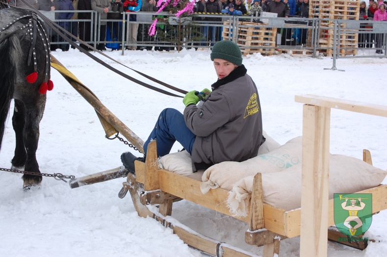 Preteky gazdovských koní 2013-28