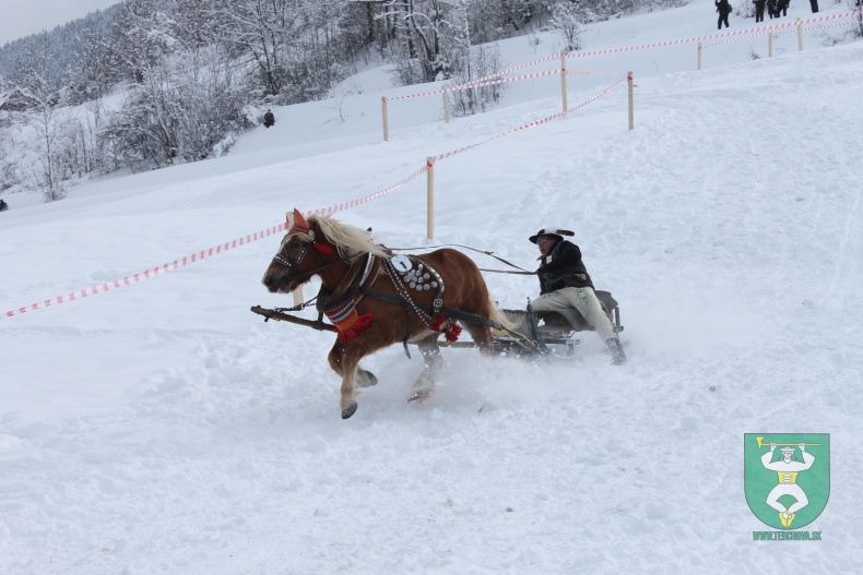 Preteky gazdovských koní 2013-68