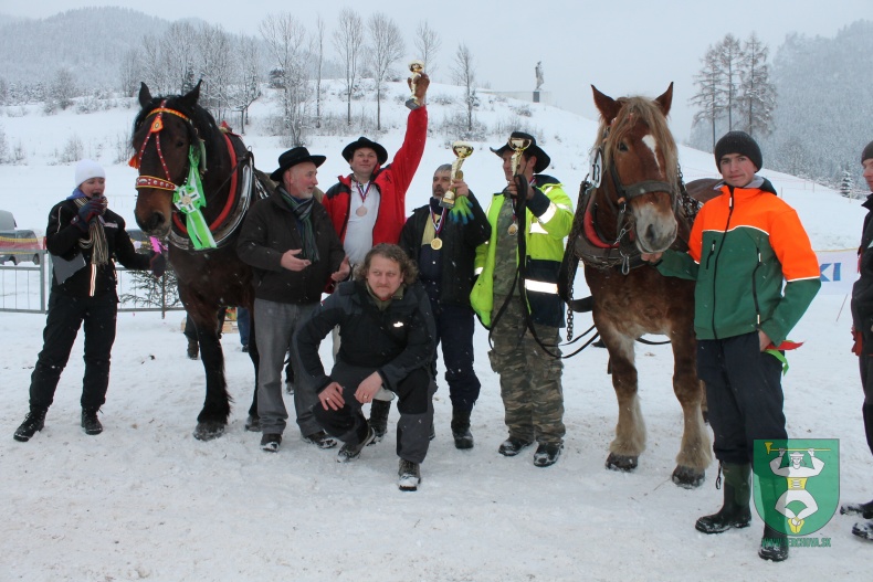 Preteky gazdovských koní 2013-86