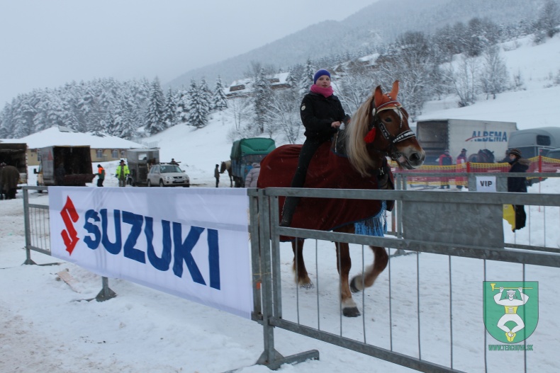Preteky gazdovských koní 2013-87