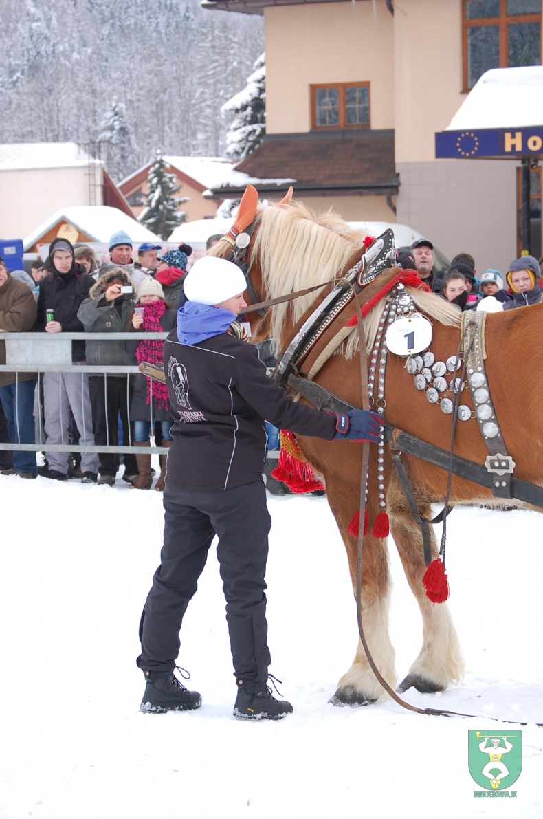 Preteky gazdovských koní 2013-27