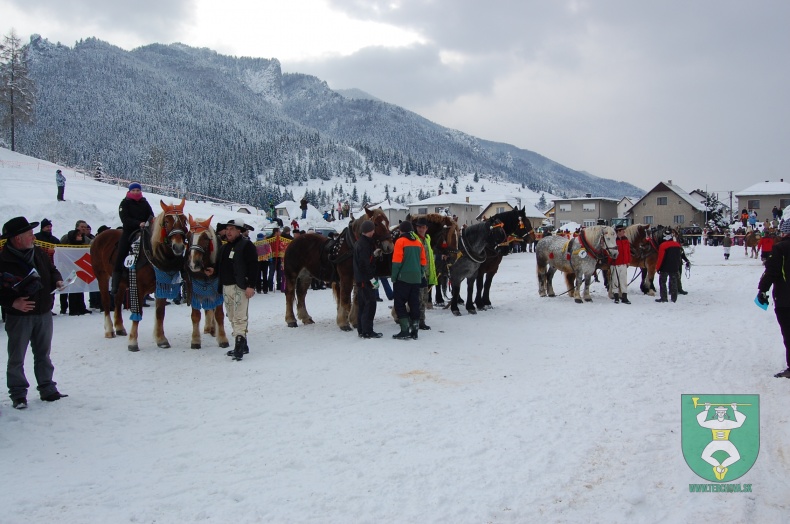 Preteky gazdovských koní 2013-55