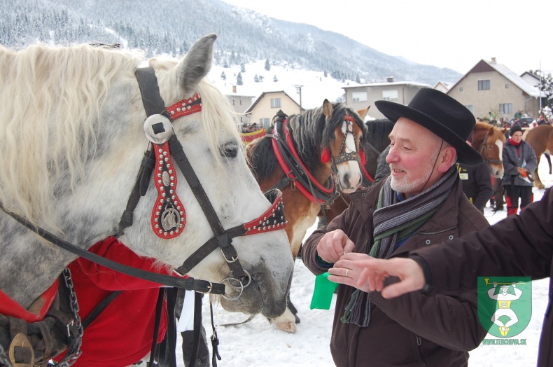 Preteky gazdovských koní 2013-58