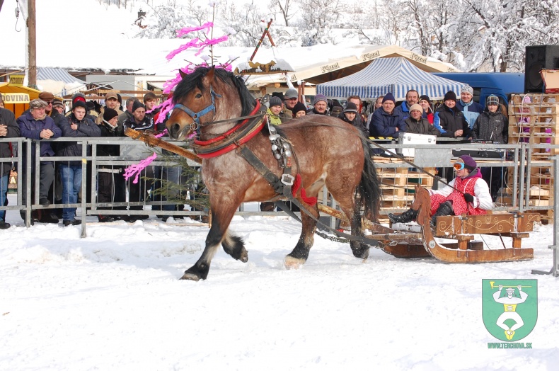 Preteky gazdovských koní 2013-23