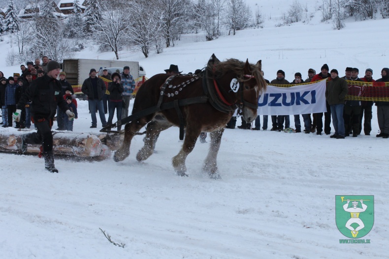 Preteky gazdovských koní 2013-78