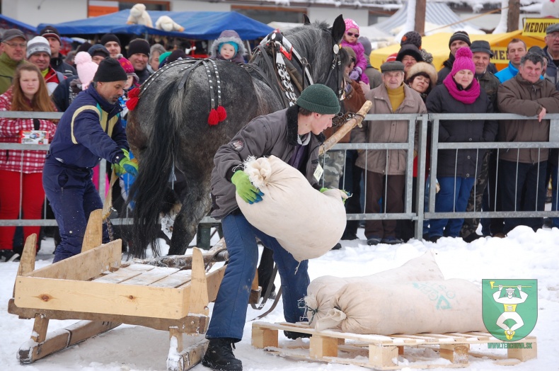 Preteky gazdovských koní 2013-29