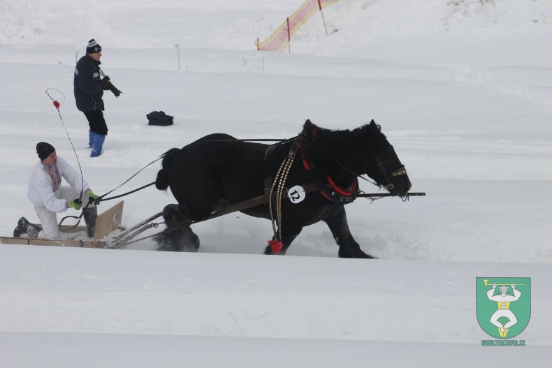Preteky gazdovských koní 2013-72