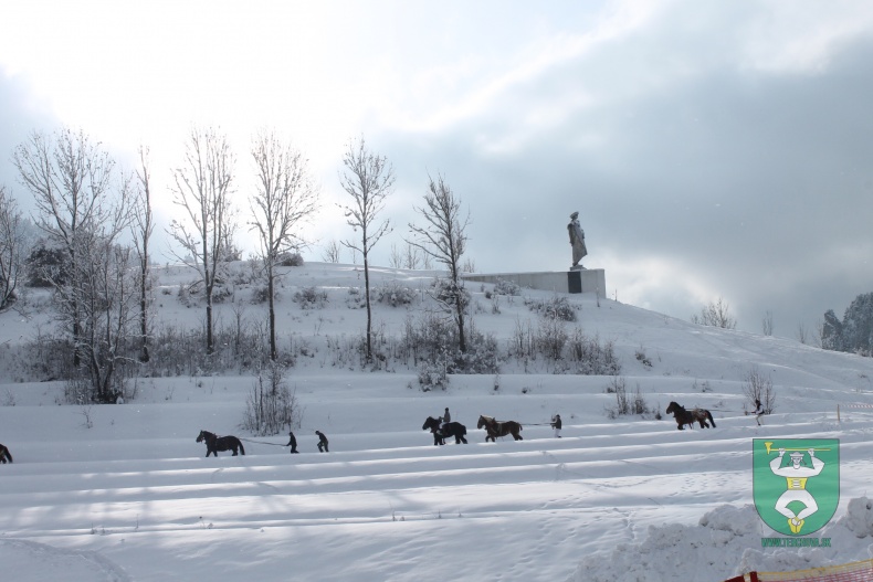 Preteky gazdovských koní 2013-66
