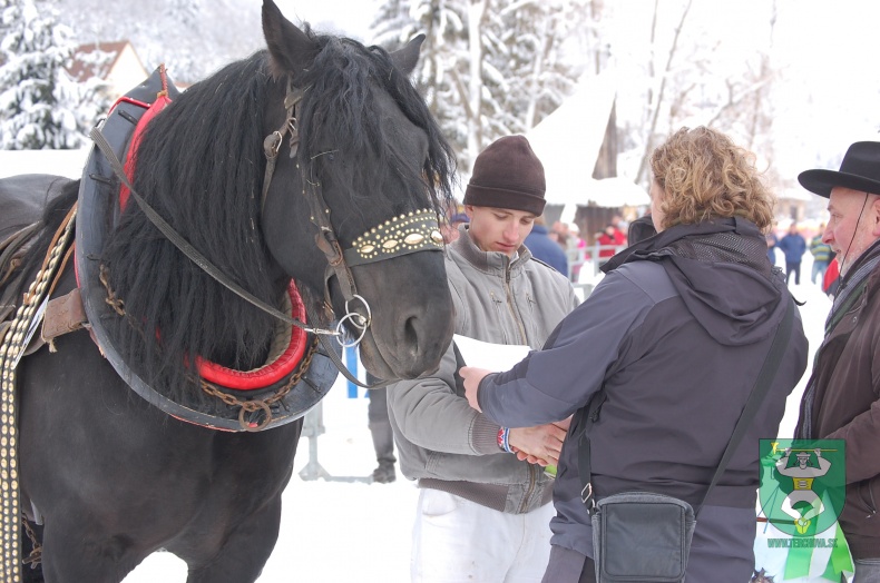Preteky gazdovských koní 2013-52