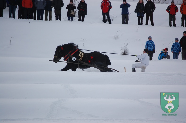Preteky gazdovských koní 2013-20