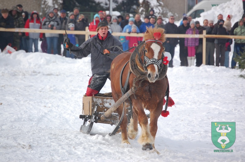 Preteky gazdovských koní 2013-14