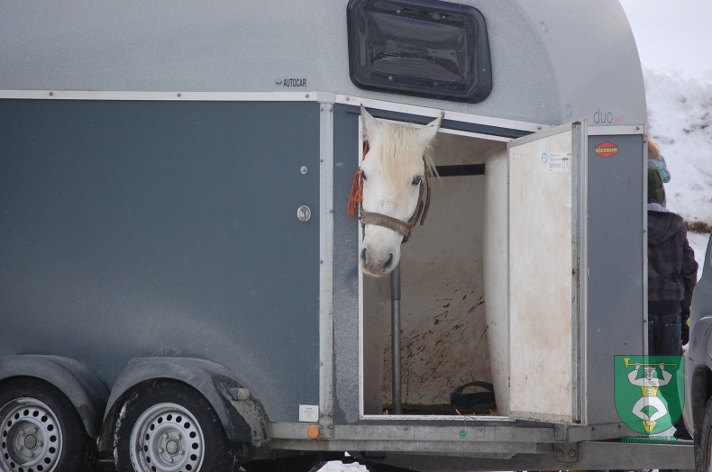 Preteky gazdovských koní 2013-11