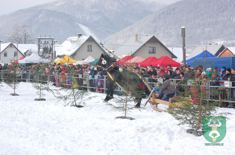 Preteky gazdovských koní 2013-13