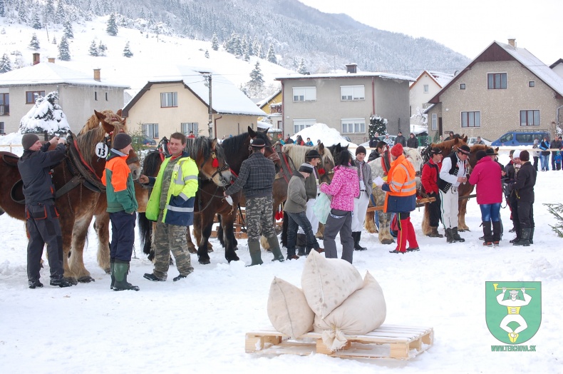 Preteky gazdovských koní 2013-2