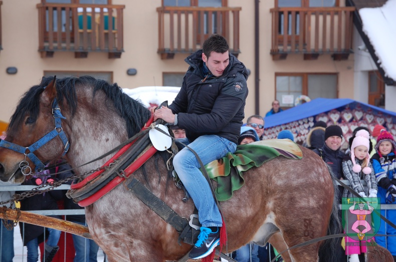 Preteky gazdovských koní 2013-35