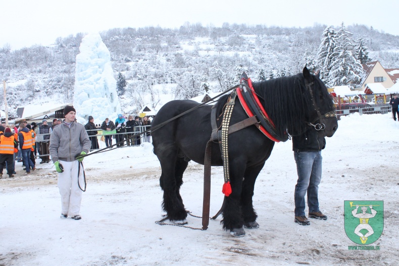 Preteky gazdovských koní 2013-76