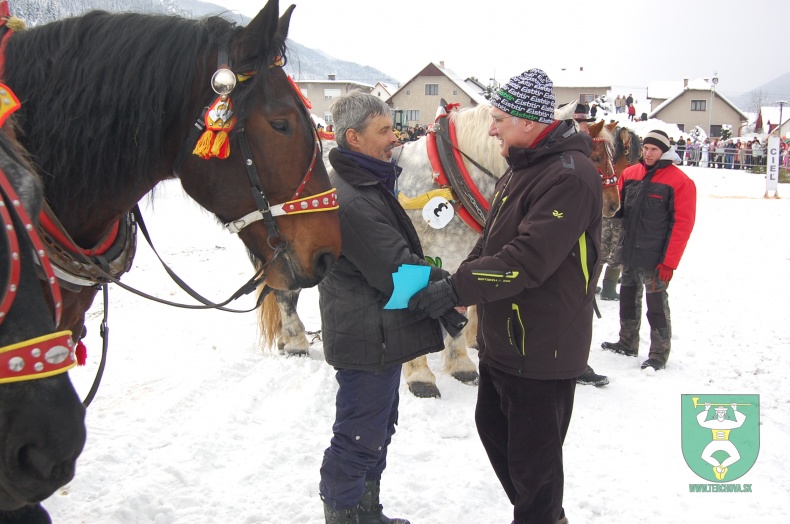 Preteky gazdovských koní 2013-56