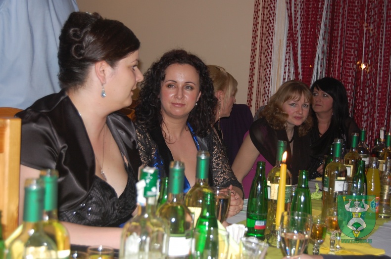 Ples FK Terchová 2013-11