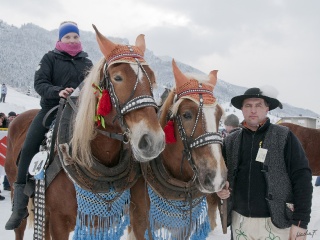 Preteky gazdovských koní 2013-46