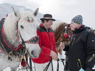 Preteky gazdovských koní 2013-47
