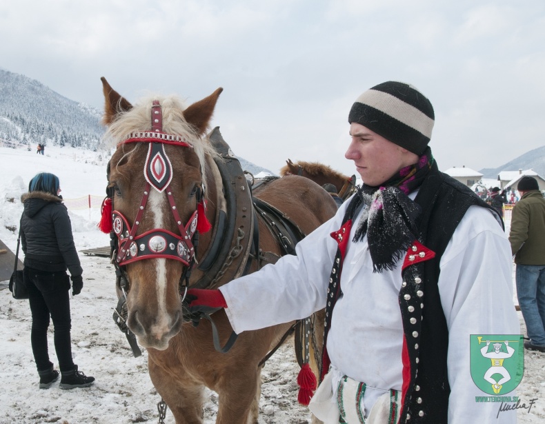 Preteky gazdovských koní 2013-3