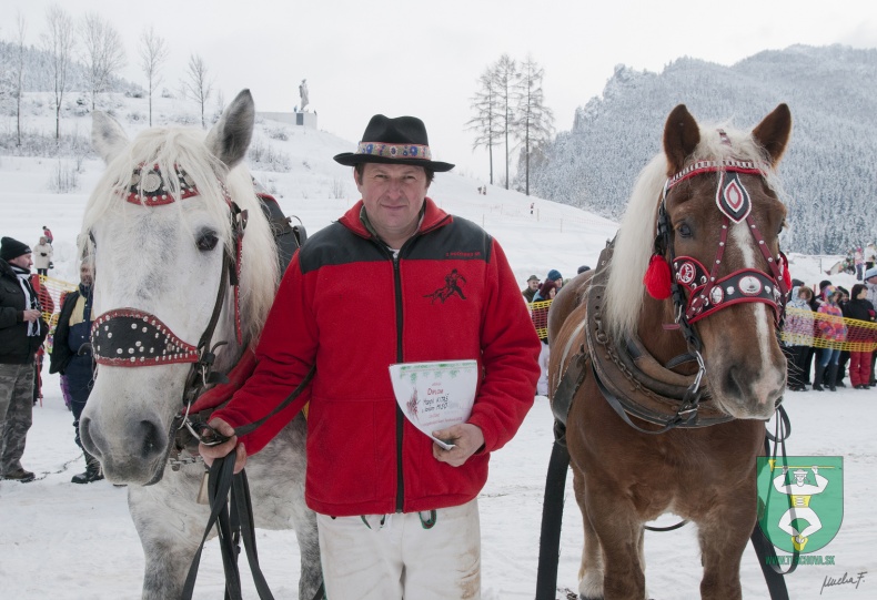 Preteky gazdovských koní 2013-49
