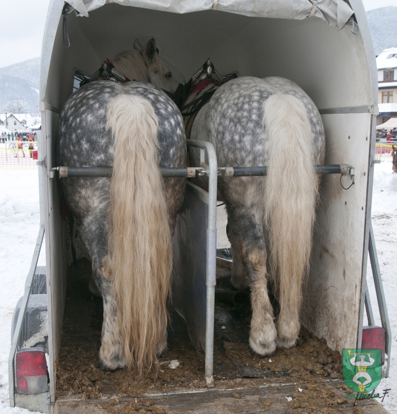Preteky gazdovských koní 2013-21