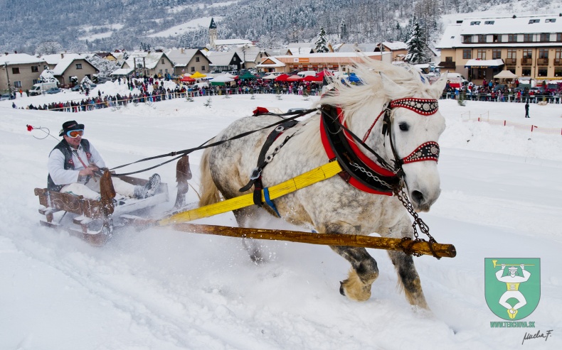 Preteky gazdovských koní 2013-9