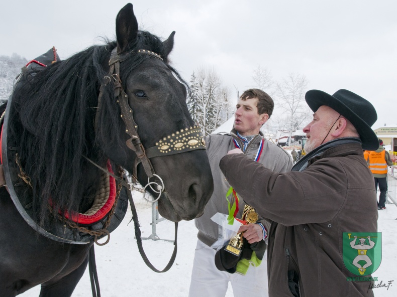 Preteky gazdovských koní 2013-28