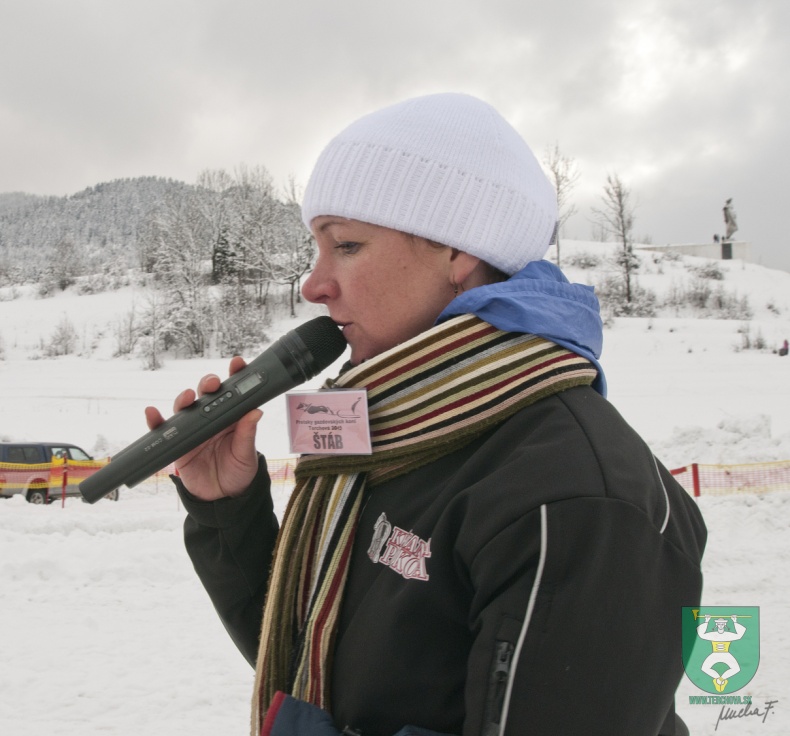 Preteky gazdovských koní 2013-25