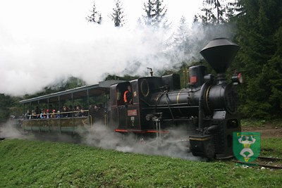 Steré nôty mladých strún Európy 15